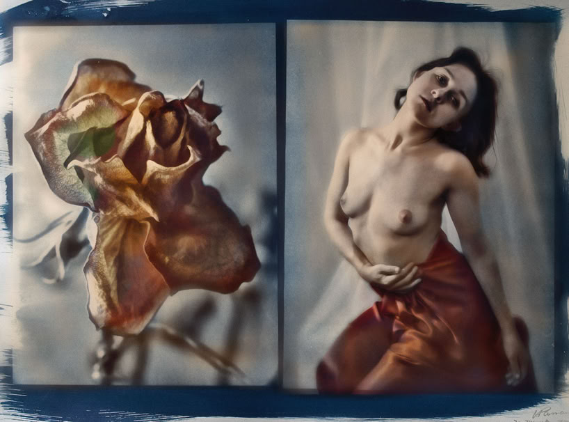 cyanotype colored cyanoprint