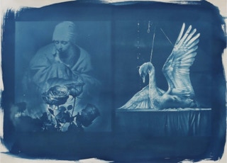 cyanotype printing with the sun