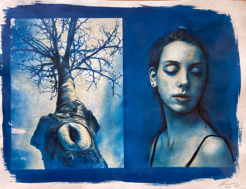 cyanotype colored cyanoprint